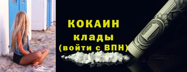шишки Долгопрудный