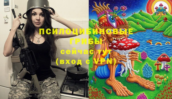 соль ск Лихославль