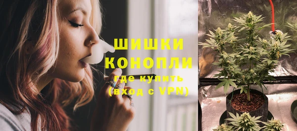 прущие грибы Магас